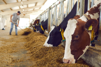 O bem-estar animal ganhou destaque na pecuária moderna e João Eustáquio De Almeida Junior explica por que esse tema se tornou tão essencial no campo.