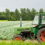 Excesso de Chuvas em Mato Grosso Afeta Safra e Gera Preocupação no Campo