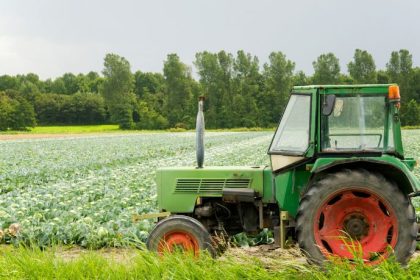 Excesso de Chuvas em Mato Grosso Afeta Safra e Gera Preocupação no Campo