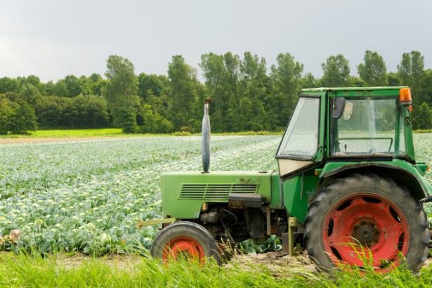 Excesso de Chuvas em Mato Grosso Afeta Safra e Gera Preocupação no Campo