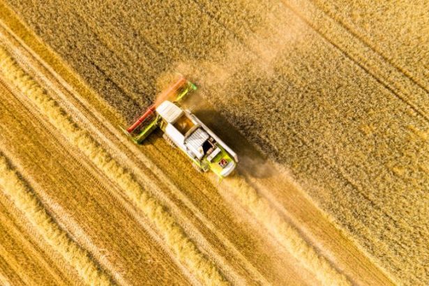Passaporte Verde: como a regularização ambiental fortalece a inclusão no agro do Mato Grosso