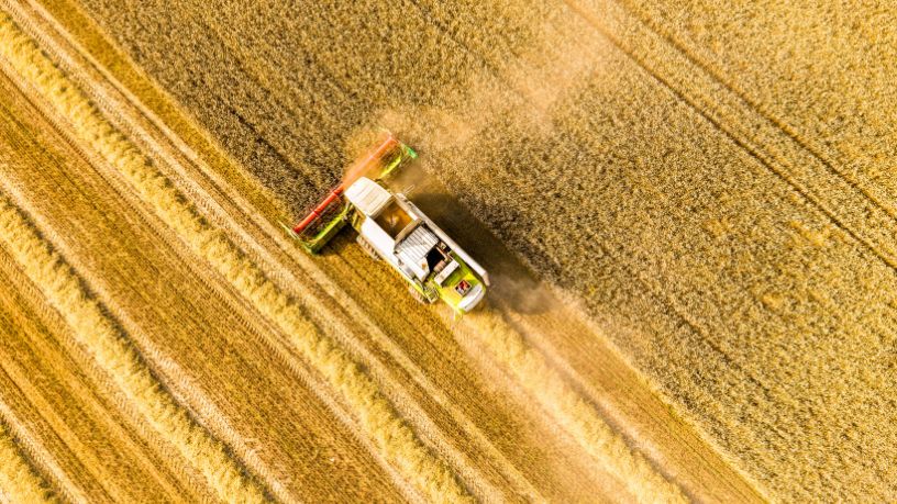Passaporte Verde: como a regularização ambiental fortalece a inclusão no agro do Mato Grosso