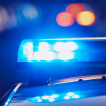 Tráfico de animais silvestres em Cuiabá: o que a apreensão revela sobre um problema crescente no Brasil