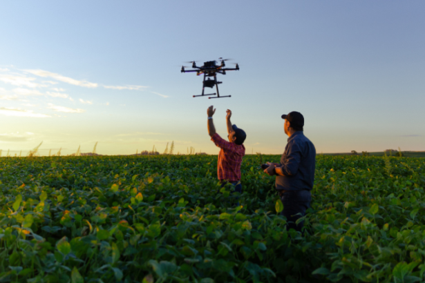 Ciência no Campo: Como a Tecnologia Está Transformando a Eficiência das Lavouras em Mato Grosso