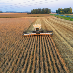 Produção de soja em Mato Grosso cresce na safra 2025/2026 e reforça protagonismo do agronegócio brasileiro