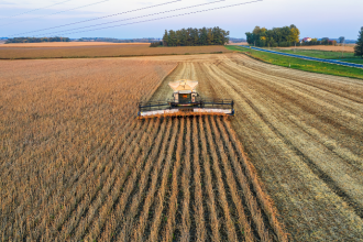 Produção de soja em Mato Grosso cresce na safra 2025/2026 e reforça protagonismo do agronegócio brasileiro