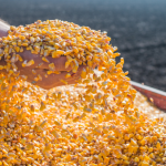 Demanda do milho em Mato Grosso dispara e revela nova dinâmica do mercado agrícola brasileiro