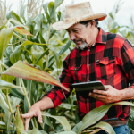 Parecis SuperAgro: tecnologia no campo impulsiona negócios e redefine o agro em Mato Grosso