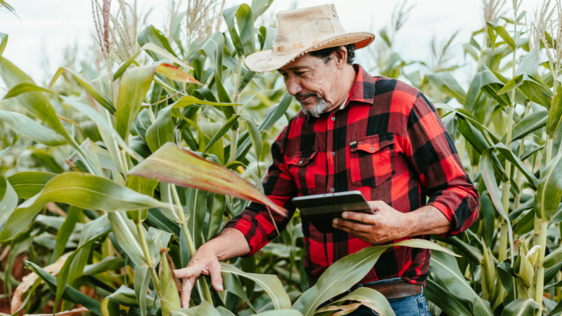 Parecis SuperAgro: tecnologia no campo impulsiona negócios e redefine o agro em Mato Grosso