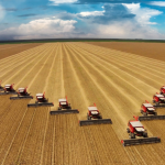 Safra de soja 2026/27 em Mato Grosso deve cair 5,2% com efeito do El Niño, aponta Imea