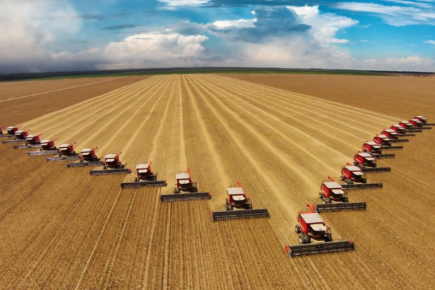 Safra de soja 2026/27 em Mato Grosso deve cair 5,2% com efeito do El Niño, aponta Imea