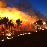 Queimadas em Mato Grosso avançam em julho e elevam alerta no Pantanal, Cerrado e no agronegócio do estado