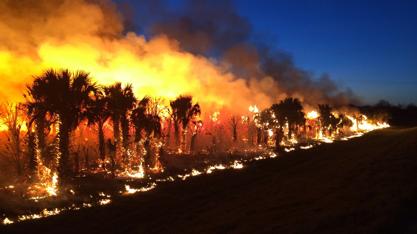 Queimadas em Mato Grosso avançam em julho e elevam alerta no Pantanal, Cerrado e no agronegócio do estado