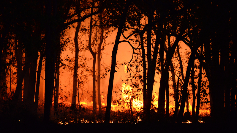 Área queimada no Pantanal salta 770% em 2026 mesmo após redução histórica do fogo no país