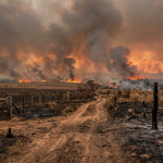 Queimadas em Mato Grosso entram em alerta máximo e aumentam preocupação com saúde, produção rural e Pantanal