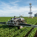Inteligência artificial ganha espaço no agro de Mato Grosso e pode mudar a forma de decidir no campo