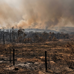 Incêndios florestais avançam em Mato Grosso: o que muda para moradores e produtores durante a seca