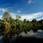 Rio cercado por vegetação e árvores refletidas na água em Alta Floresta, Mato Grosso