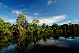 Rio cercado por vegetação e árvores refletidas na água em Alta Floresta, Mato Grosso